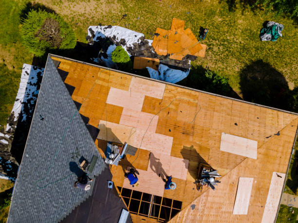 Best Roof Waterproofing Services  in St Clair, MI