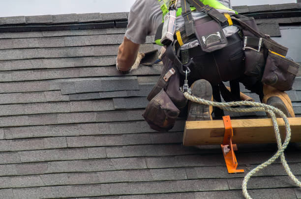 Best Roof Gutter Cleaning  in St Clair, MI
