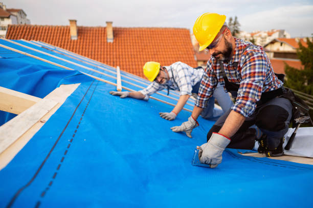 Best Metal Roofing Contractor  in St Clair, MI